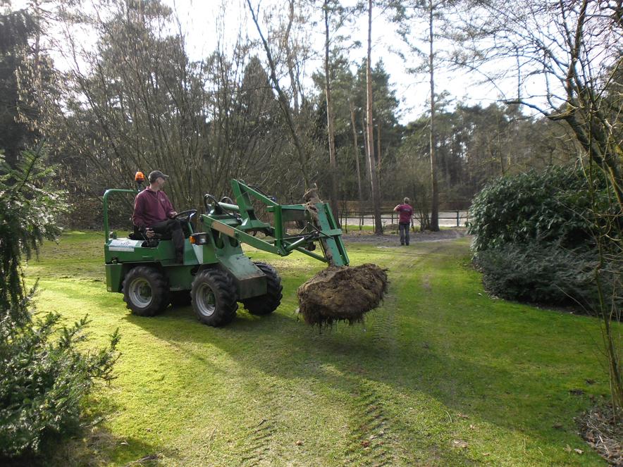 08 Verplanten Beuken in Vierhouten 8