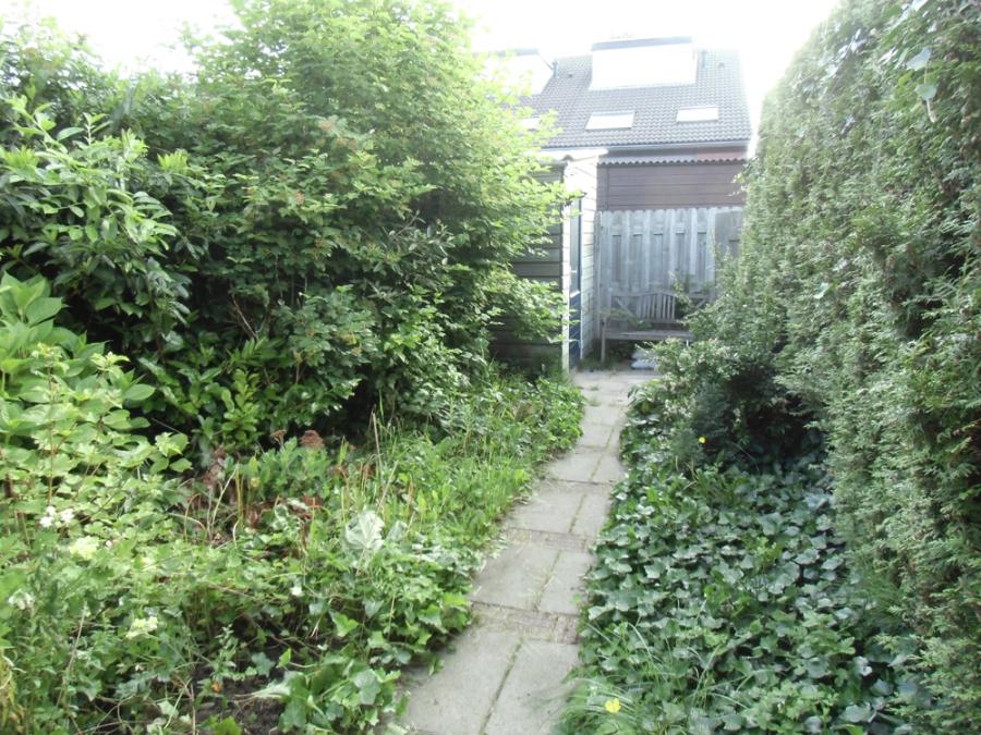 05 Tuin Gouda voor tuinonderhoud