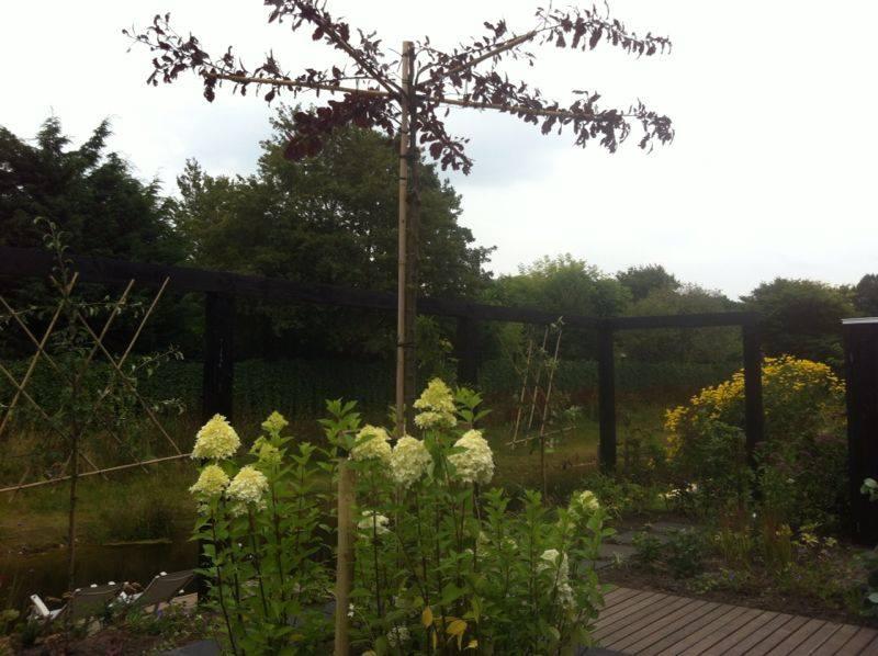 Tuinaanleg incl. tuinkast Groningen 6